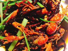 -红盔甲·小龙虾(天钥桥店)