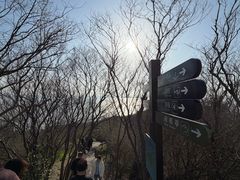 -巢湖姥山岛