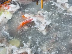 -九府羊鲜羊火锅·烧烤·小海鲜(华汇大厦店)