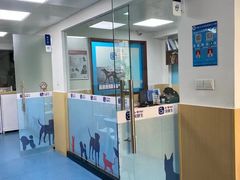 -宠颐生猫科·内科皮肤科(西平世纪城店)