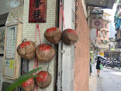 -洪馨椰子