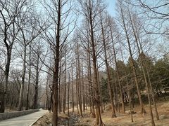-白水寺森林公园