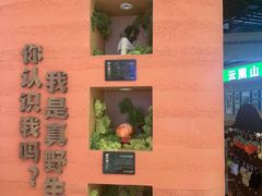 -首开·龙湖成都西宸天街