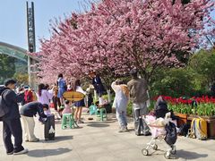 -南山植物园