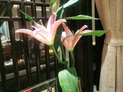 -瑶王府·广西菜(金阳路店)