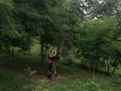 -西安秦岭野生动物园