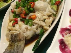 -羊上树(南门外店)