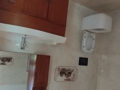 -金山农民画村-枫泾波兰倒置屋