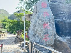 -大岭沟猕猴桃谷风景区