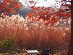 -南京市无想山景区