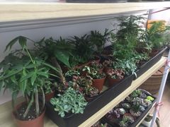 -A+匠心DIY手工坊·首饰·微景观