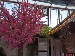 -丽江庭院之爱在路上(西单店)