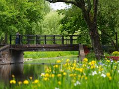 -上海共青森林公园