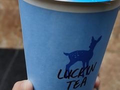 -证大大拇指广场(芳甸路店)