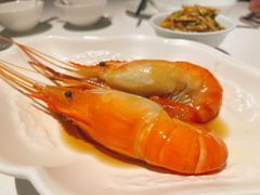马爹利一号-食廬(浦东嘉里城店)