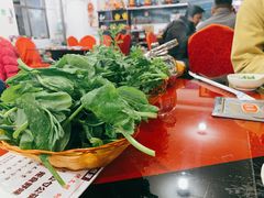 豌豆尖-生态牦牛王