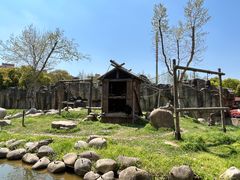 -上海野生动物园