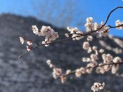 -北京明城墙遗址公园