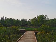 -东郊湿地公园