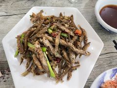 -品雅轩农家乐