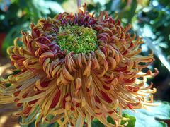 -国家植物园南园