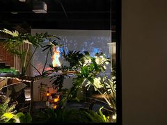 -J Create城市露营咖啡·简餐·宠物(上海动物园店)