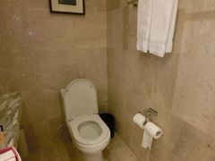 -上海龙之梦万丽酒店