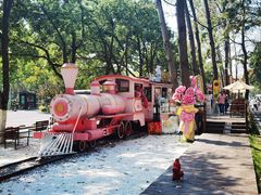 -合肥滨湖国家森林公园