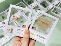 -辽宁古生物博物馆