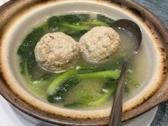 -丁老爷子苏香圆