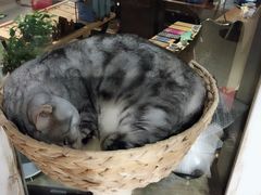 -小时光咖啡馆(开森度假森林店)