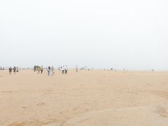 -日照海滨国家森林公园