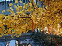 -阿大排档(长春这有山店)