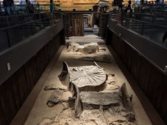 -北京大葆台遗址博物馆