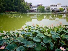 -国恩寺