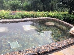 -天目湖涵田半山温泉