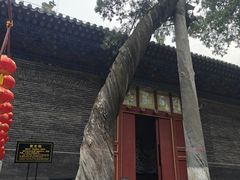-关林