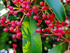 -江南大学(蠡湖校区)