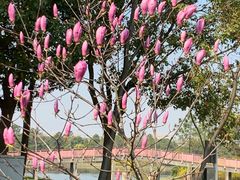 -美兰湖景区