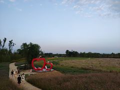 -白鹭湾湿地公园