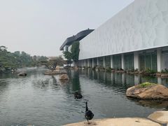 -罗红摄影艺术馆