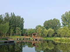 -东郊湿地公园