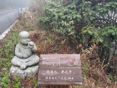 -武陵山森林公园