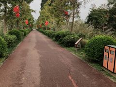 -白鹭湾湿地公园