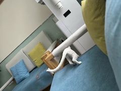 -美迦爱-牙专科·兔科·骨科诊疗中心(北苑店)