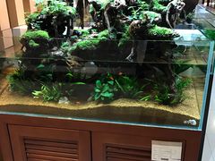 -剪刀石头布家居广场