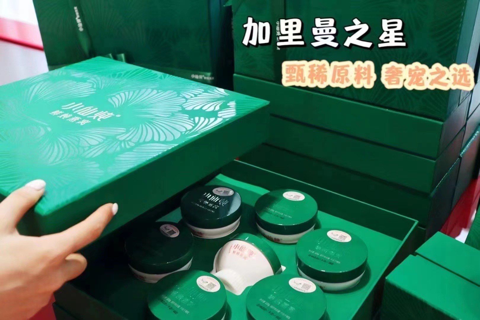 加里曼之星|珍稀雨林燕窝,尊享燕窝品鉴之仪96