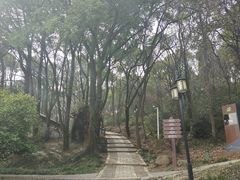 -苏州上方山国家森林公园
