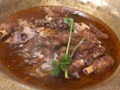 -芦月轩羊蝎子(北蜂窝店)