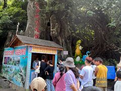 -昆明动物园